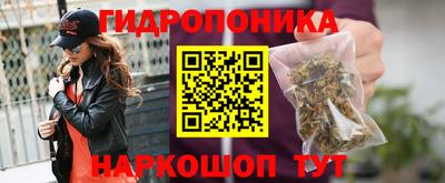 шишки Комсомольск-на-Амуре